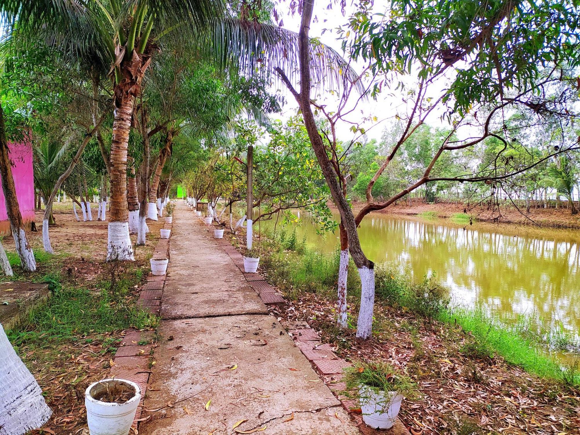 Estuarine Village Resort Sātabhāya Eksteriør billede